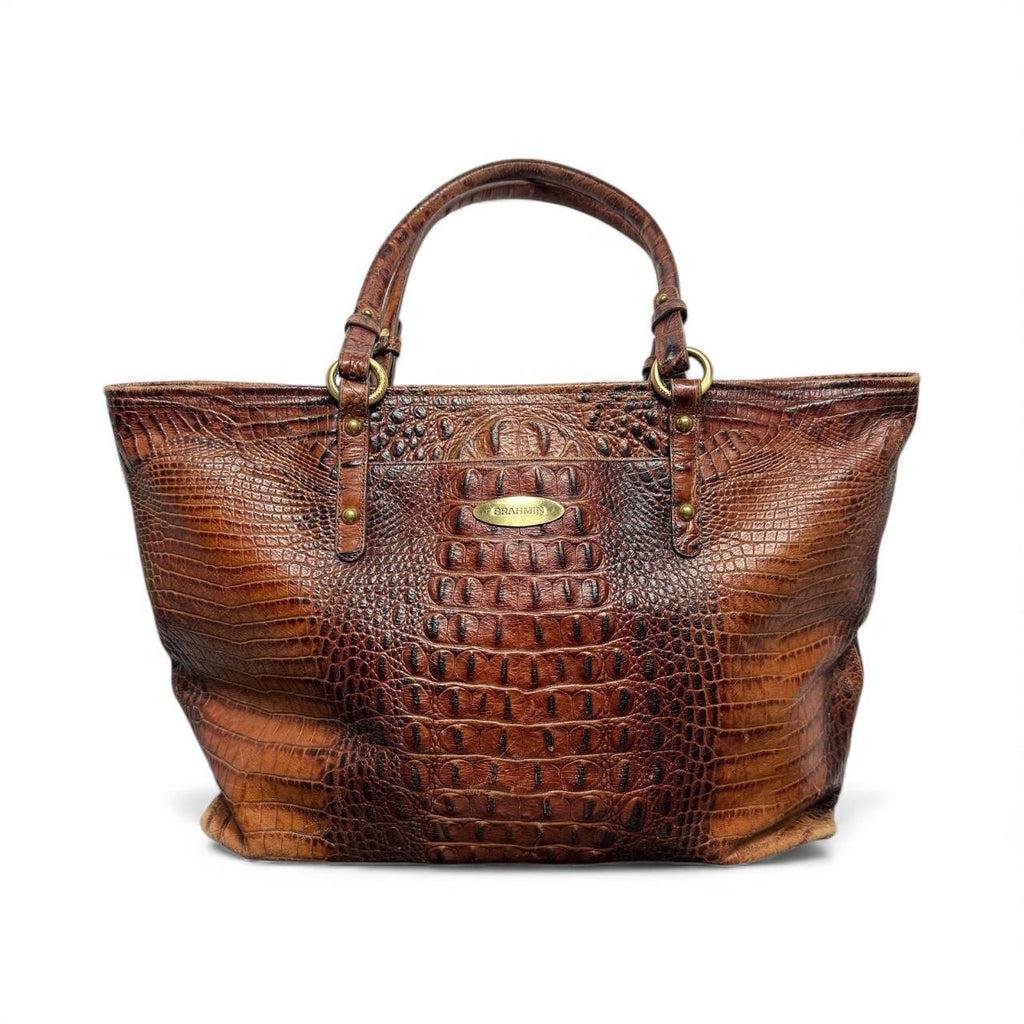 brahmin medium asher